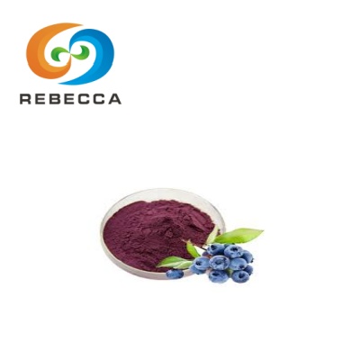 Blueberry Extract Powder
